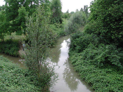 rio Ariolo
